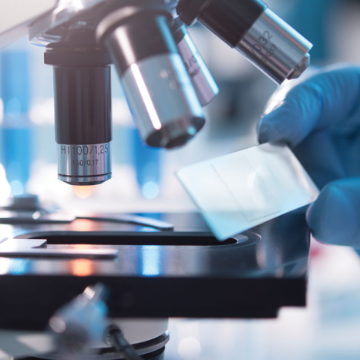 热烈庆祝SarenLab签约苏鉴(上海)基因科技有限公司