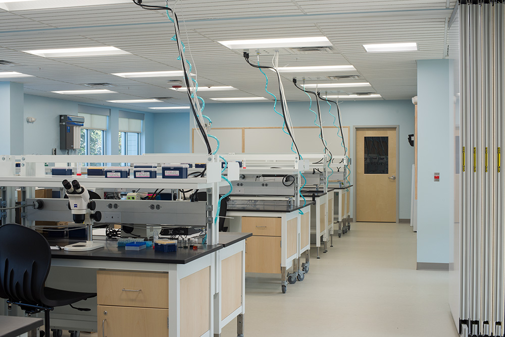 微生物实验室 医学体外诊断试剂盒中试基地 洁净室装修项目-百趣生物科技