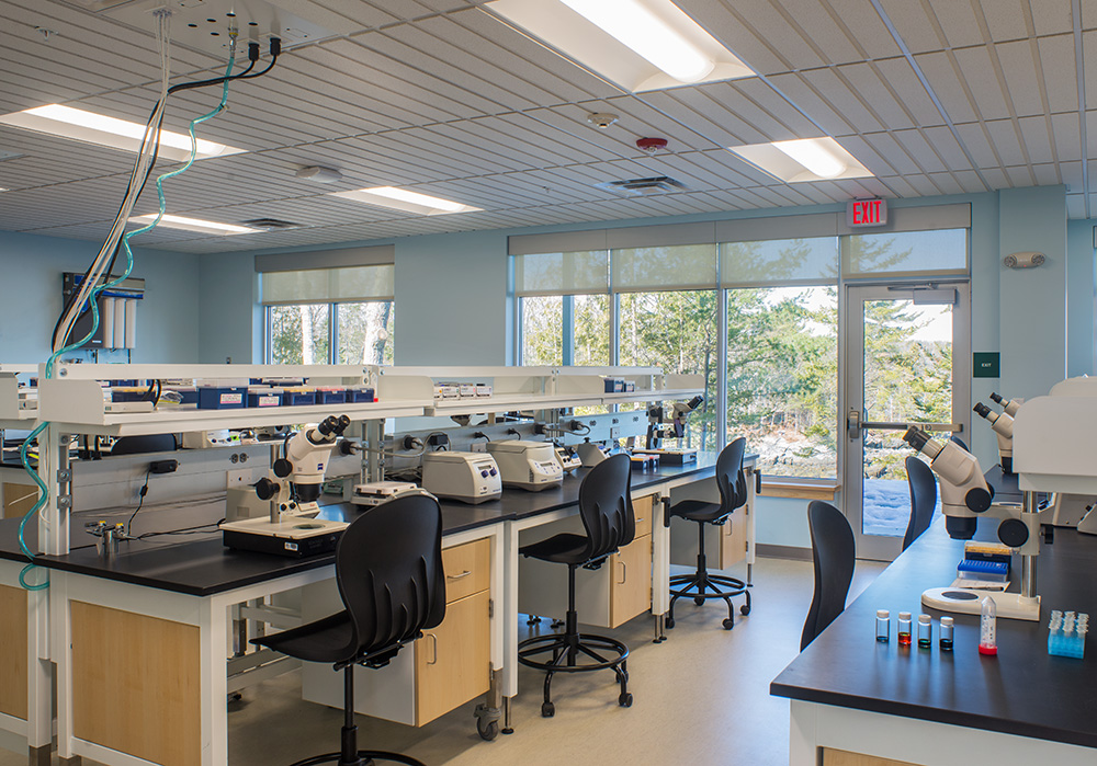 微生物实验室 医学体外诊断试剂盒中试基地 洁净室装修项目-百趣生物科技