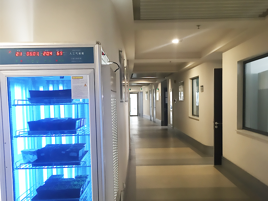 中国科学院上海有机化学研究所实验室项目