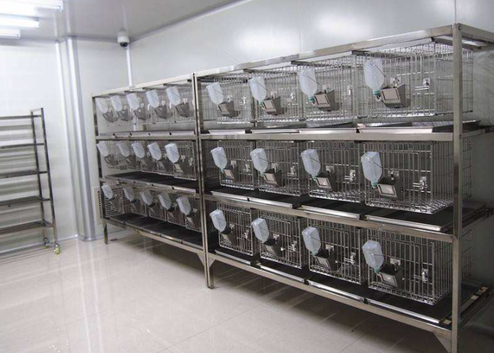 动物实验室装修要做好系统建设工作