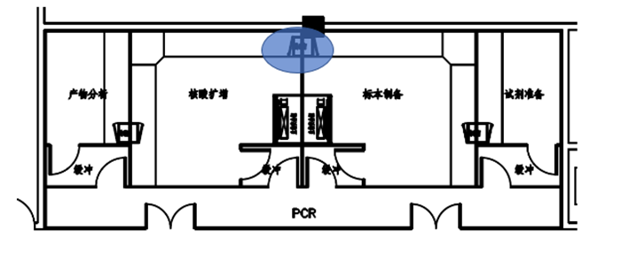 PCR实验室设计装修怎么做？生命科学实验室基因扩增实验室