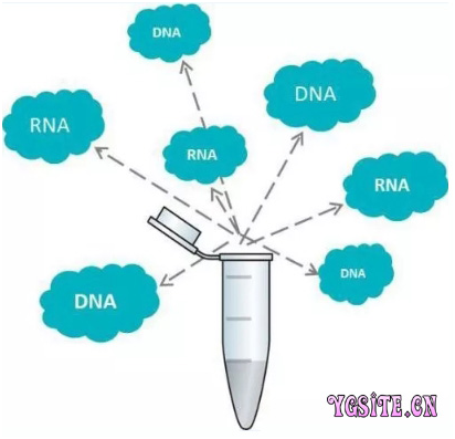 实验室气溶胶防治SAREN