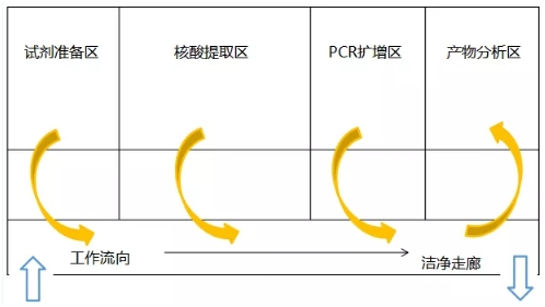 PCR实验室建设